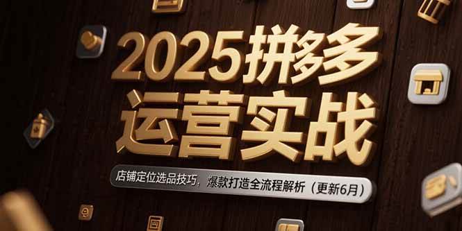 （15235期）2025拼多多运营实战：店铺定位选品技巧，爆款打造全流程解析（更新6月）-轻金阁