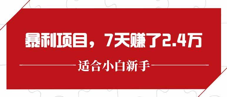 （15228期）最新暴利项目，每单收益轻松在300以上，7天赚了2.4万-轻金阁