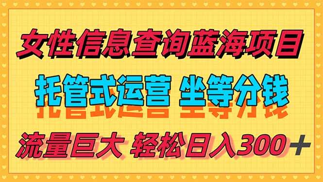 （15216期）稳定日入300＋，小众信息查询蓝海项目，全程懒人式托管，解放你的时间-轻金阁