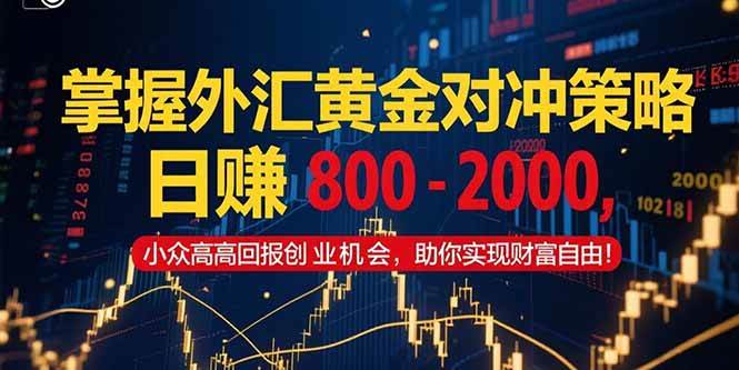 （15198期）掌握外汇黄金对冲策略，日赚 800 – 2000，小众高回报创业机会，助你实…-轻金阁