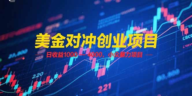 （15187期）美金对冲创业项目，日收益 1000 – 4000，小众暴力项目-轻金阁
