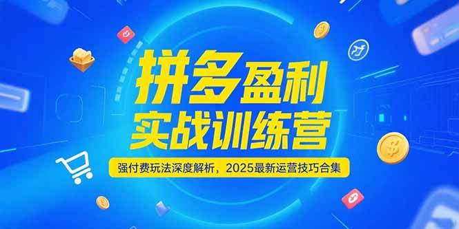 （15183期）拼多多盈利实战训练营，强付费玩法深度解析，2025最新运营技巧合集-轻金阁