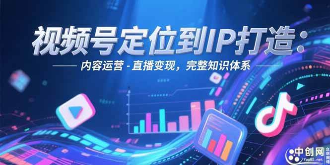 （15173期）视频号定位到IP打造：账号搭建-内容运营-直播变现，完整知识体系-轻金阁