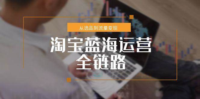 （15160期）淘宝蓝海运营全链路，从选品到流量变现，小类目突围完整方案-轻金阁