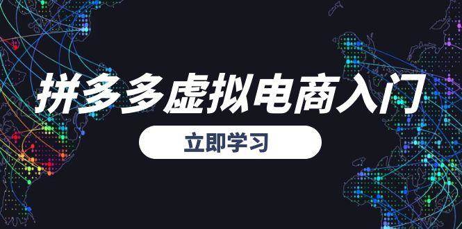 （15158期）拼多多虚拟电商入门，精准选品方法论，无货源模式起盘技巧-轻金阁