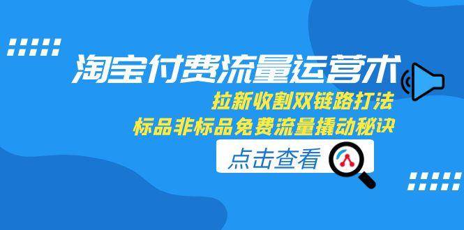 （15135期）淘宝付费流量运营术，拉新收割双链路打法，标品非标品免费流量撬动秘诀-轻金阁