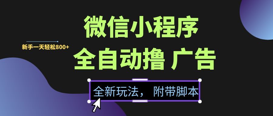 （15134期）微信小程序挂机撸广告，全新玩法，新手一天轻松800+【附带脚本】-轻金阁