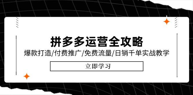 （15085期）拼多多运营全攻略，爆款打造/付费推广/免费流量/日销千单实战教学/6月更新-轻金阁