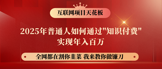 镰刀训练营超级IP合伙人，25年普通人如何通过“知识付费”年入百万！-轻金阁