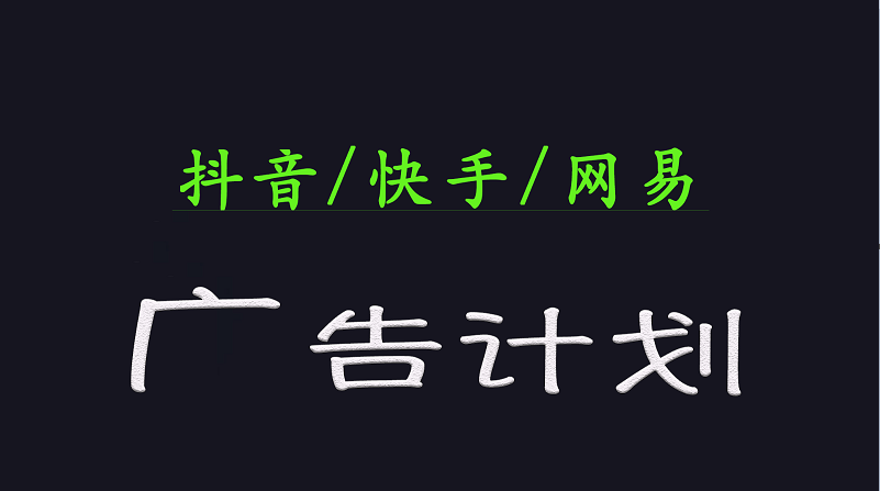 2025短视频平台运营与变现广告计划日入1000+，小白轻松上手-轻金阁