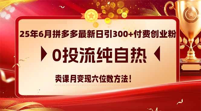 （14989期）25年6月拼多多最新日引300+付费创业粉，0投流纯自热 卖课月变现六位数方法-轻金阁