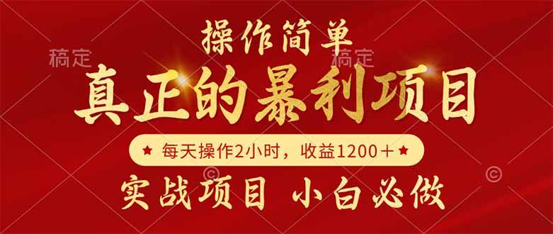 （14978期）真正的暴利项目，操作简单，每天收益1200＋，自己做老板-轻金阁