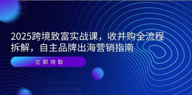 （14975期）2025跨境致富实战课，收并购全流程拆解，自主品牌出海营销指南-轻金阁