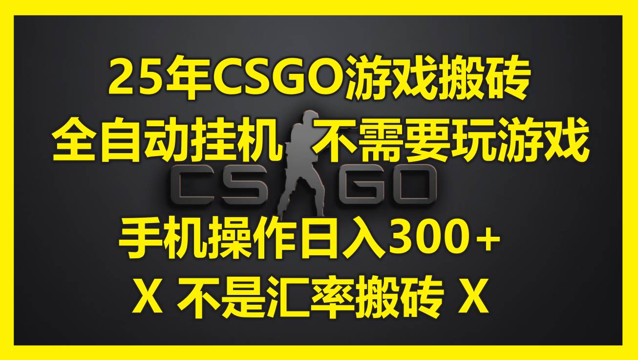 （14902期）25年CSGO游戏搬砖，全自动挂机，不需要玩游戏，手机操作日入300+。(不…-轻金阁