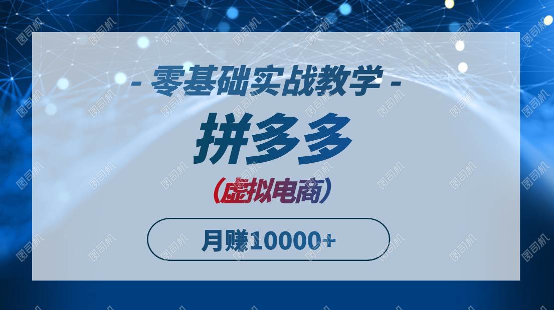 （14880期）拼多多虚拟电商，零基础实战教学，快速打爆商品，新手也能月入10000+-轻金阁