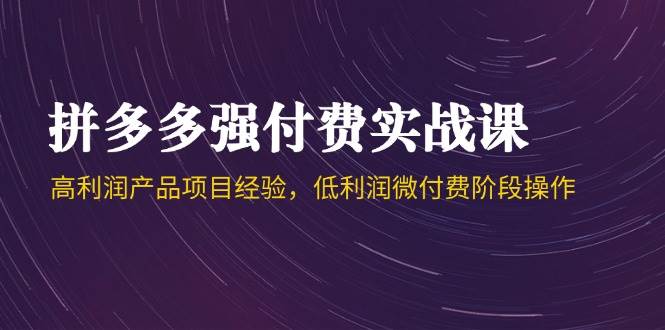 （14874期）拼多多强付费实战课-44期，高利润产品项目经验，低利润微付费阶段操作-轻金阁