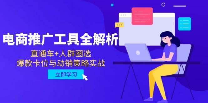 （14866期）电商推广工具全解析，直通车+人群圈选，爆款卡位与动销策略实战-轻金阁