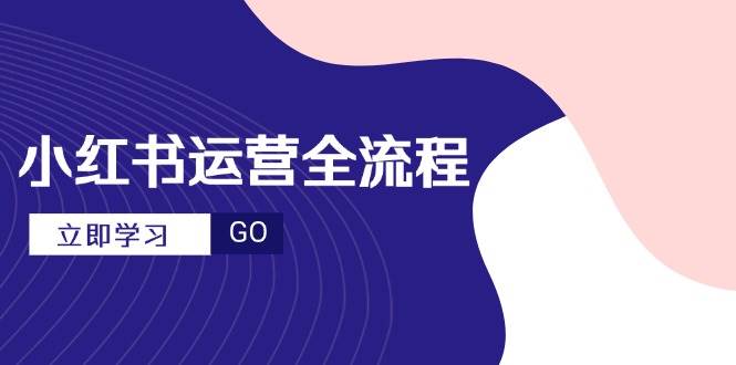 （14861期）小红书运营全流程，爆款选题文案，视频制作技巧，进阶达人宝典-轻金阁