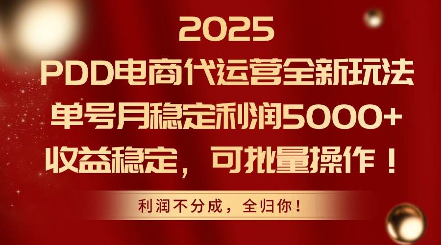 （14839期）2025PDD电商代运营全新玩法，单号月稳定利润5000+，收益稳定，可批量操作-轻金阁