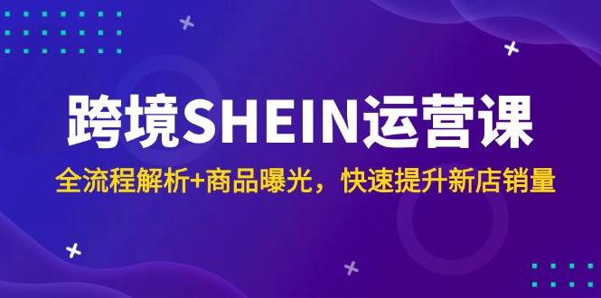 （14832期）跨境SHEIN运营课，全流程解析+商品曝光，快速提升新店销量-轻金阁