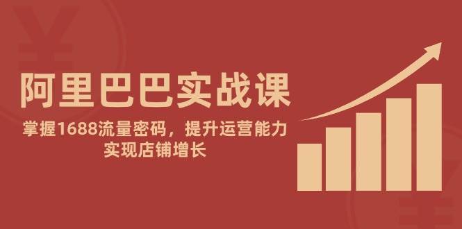 （14830期）阿里巴巴实战课：掌握1688流量密码，提升运营能力，实现店铺增长-轻金阁