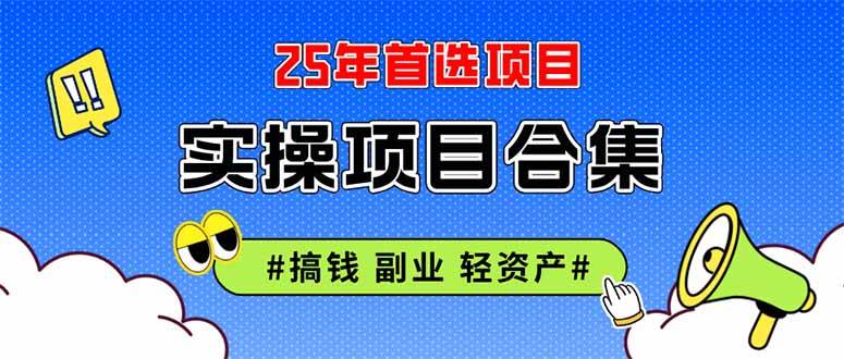 （14767期）2025实操项目合集 挂机类型 直播类型 轻资产创业类型 课程分享各项目介…-轻金阁