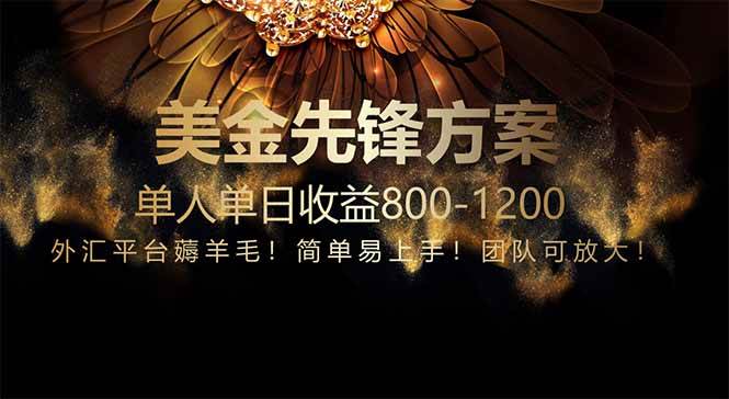 （14761期）免费技术！小众赛道！一年布局抵三年努力，每日800+-轻金阁