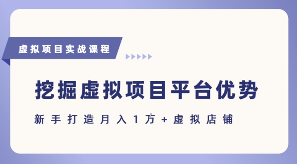 抓住虚拟项目各平台优势，新手轻松月入1W+(给出具体建议)-轻金阁