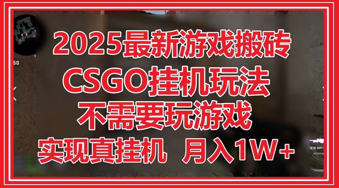 （14743期）2025最新游戏搬砖，CSGO挂机，不需要玩游戏，实现真挂机，月入1W+-轻金阁