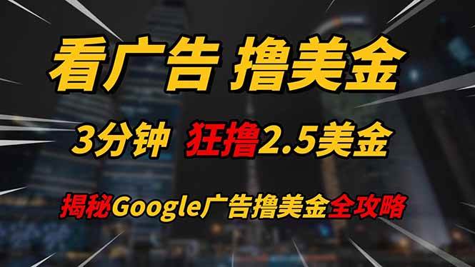 （14701期）看广告，撸美金！！3分钟赚2.5美金！！日入200美金不是梦！揭秘Google…-轻金阁