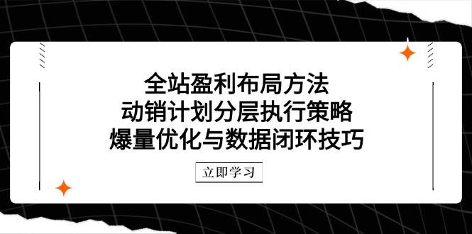 （14698期）全站盈利布局方法：动销计划分层执行策略，爆量优化与数据闭环技巧-轻金阁