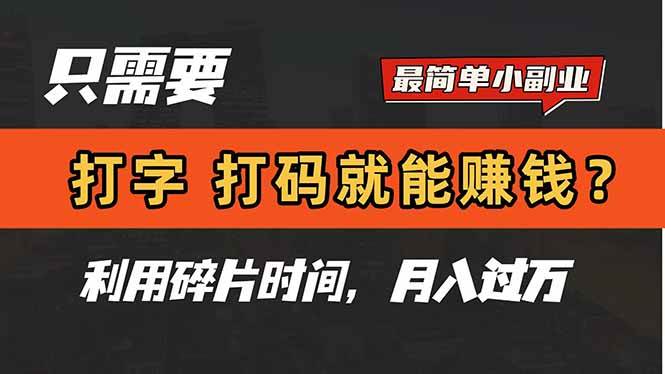 （14673期）只需要打字，打码，就能赚钱？简单的赚钱小副业，利用碎片时间，月入过万-轻金阁