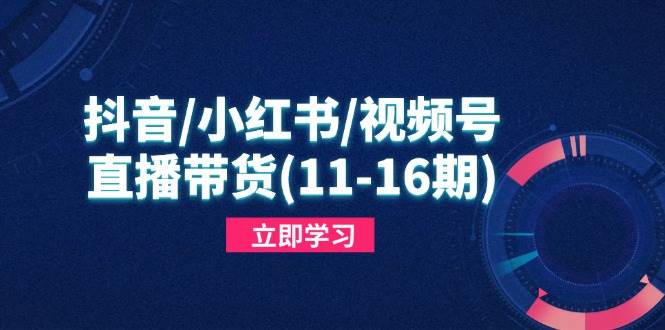 （14611期）抖音/小红书/视频号/直播带货(11-16期)，快速掌握平台规则，打造爆款内容-轻金阁