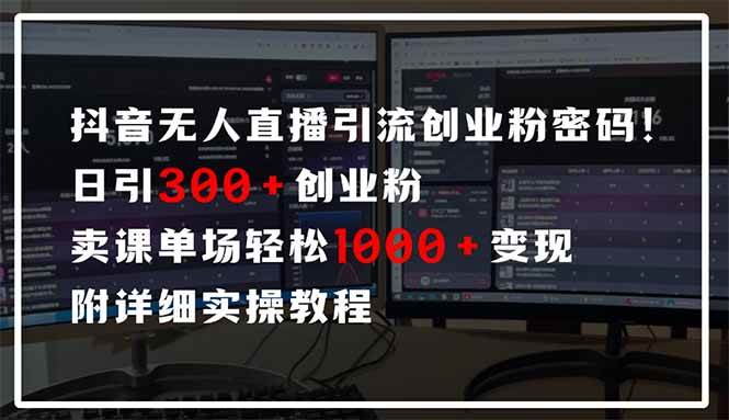 （14564期）抖音无人直播引流密码！日引300+创业粉 单场轻松1000+变现 附详细实操教程-轻金阁