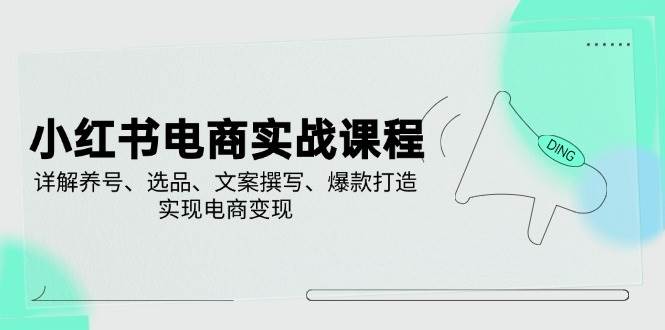 小红书电商实战课程，详解养号、选品、文案撰写、爆款打造，实现电商变现-轻金阁