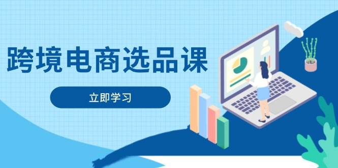 （14547期）跨境电商选品课：涵盖电动滑板车、健康医疗、电子游戏、厨房用品、宠物等-轻金阁