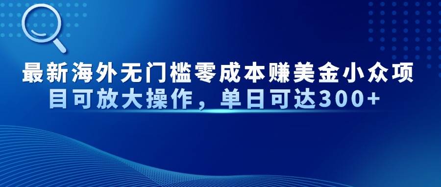 （14542期）最新海外无门槛零成本赚美金小众项目可放大操作，单日可达300+-轻金阁