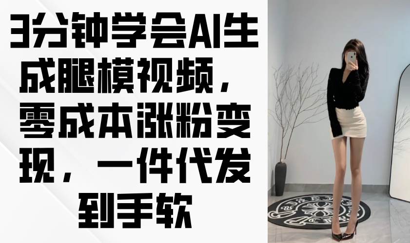 （14537期）3分钟学会AI生成腿模视频，零成本涨粉变现，一件代发到手软-轻金阁