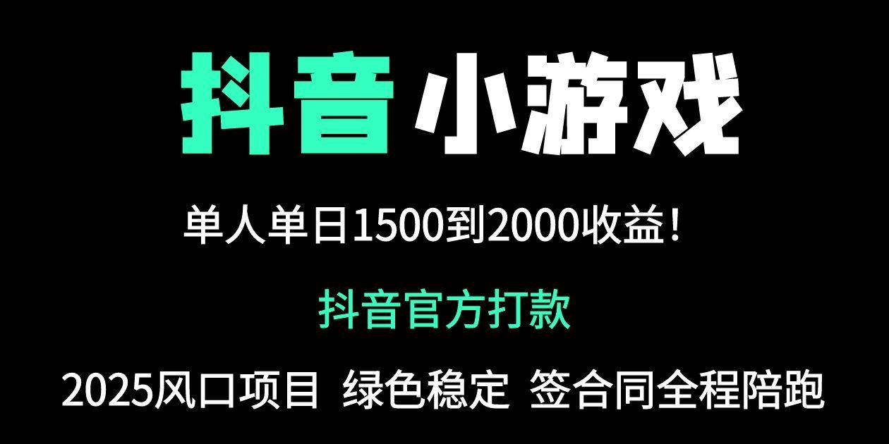 （14527期）抖音官方小游戏2025全网最新玩法，暴利赚钱项目，单机日入2000+，绝不…-轻金阁