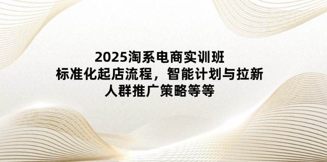 （14522期）2025淘系电商实训班：标准化起店流程，智能计划与拉新，人群推广策略等等-轻金阁