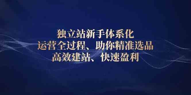 独立站新手体系化 运营全过程，助你精准选品、高效建站、快速盈利-轻金阁