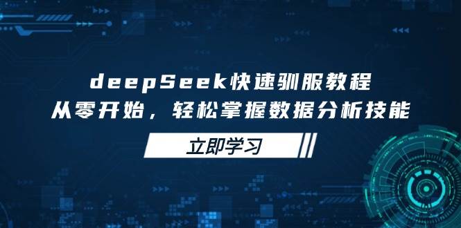 deepSeek快速驯服教程，从零开始，轻松掌握数据分析技能-轻金阁