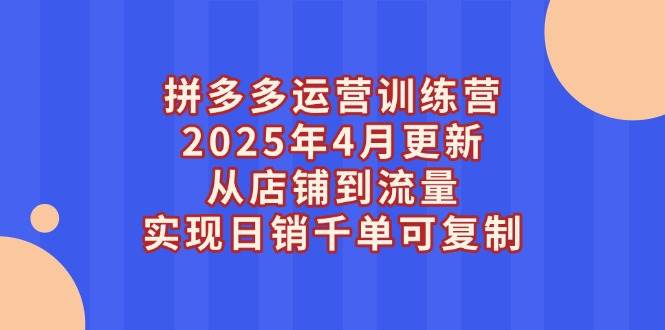 （14469期）拼多多运营训练营2025年4月更新，从店铺到流量，实现日销千单可复制-轻金阁