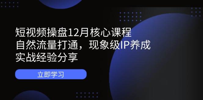 （14447期）短视频操盘12月核心课程：自然流量打通，现象级IP养成，实战经验分享-轻金阁