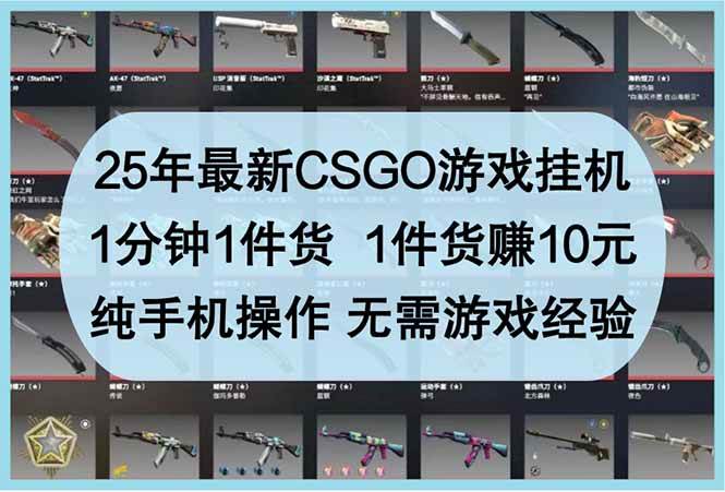 （14439期）25年最新CSGO游戏挂机，1分钟1件货，1件货赚10元 纯手机操作 无需游戏经验-轻金阁