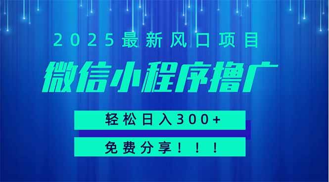 （14375期）微信小程序撸广，最新风口项目，日入300+ 免费分享 可批量操作 小白可…-轻金阁
