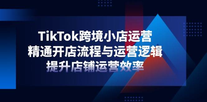 （14369期）TikTok跨境小店运营，精通开店流程与运营逻辑，提升店铺运营效率-轻金阁