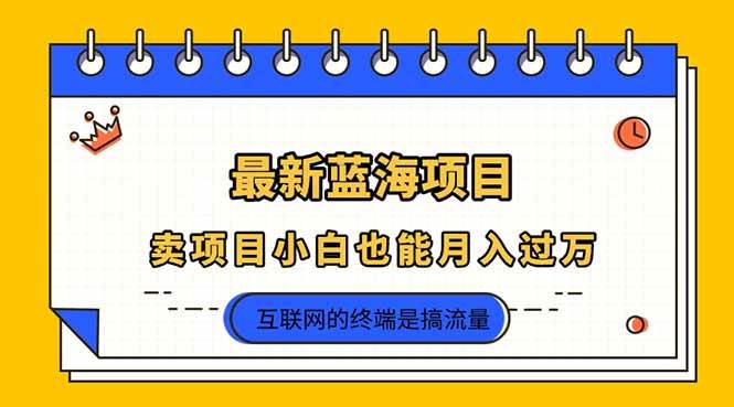 （14289期）2025年最新蓝海项目，卖项目小白也能月入过万-轻金阁