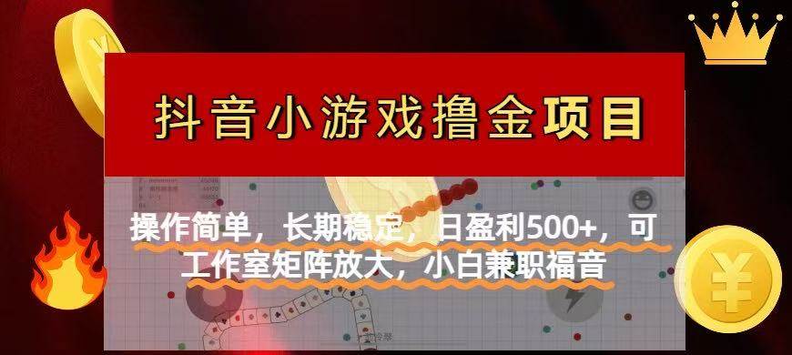 （14290期）【抖音小游戏发行人计划项目】操作简单，长期稳定，日盈利500+，可工作…-轻金阁