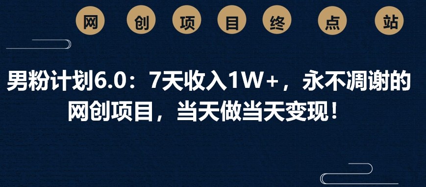 男粉计划6.0：7天收入1W+，永不凋谢的网创项目，当天做当天变现！-轻金阁
